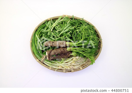 Herbs, Spring herbs, veg 44800751