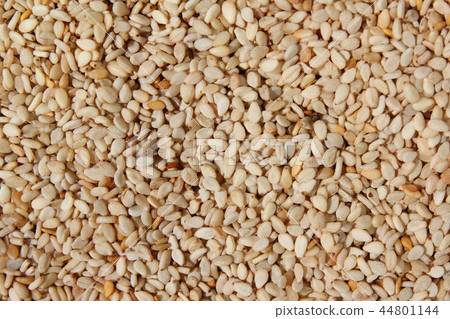 Sesame 44801144