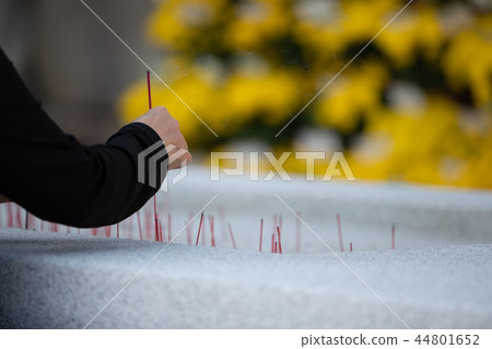 Wish fulfillment Wish fulfillment 44801652