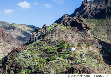 mountains landscape in Gran Canaria island 44802293