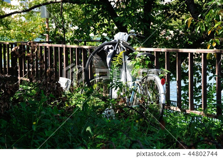 Illegal dumping bicycle 44802744