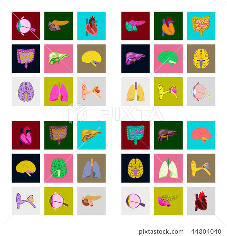 icons set in flat style human organs 44804040
