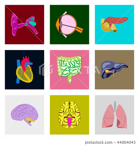 icons set in flat style human organs 44804043