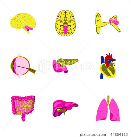 icons set in flat style human organs - Stock Illustration [44804113 ...