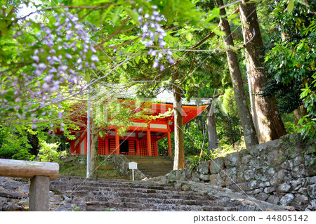 伊勢伊勢/天城金剛寺/初夏,美成堂和富士之氣(1) 伊勢伊勢/天城金剛寺/初夏,美成堂和富士之氣(1) 44805142