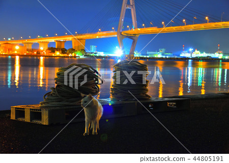 [Factory night view] Shiomi Pier Sea Cat Triton 44805191