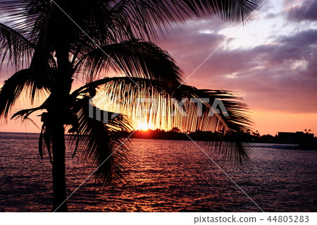 Hawaii Sunset Hawaii Sunset 44805283