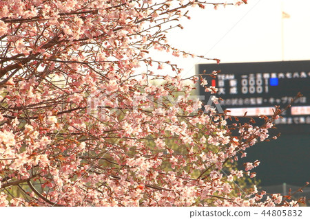 Spring baseball field Spring baseball field 44805832