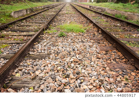 railway in the forest 44805917