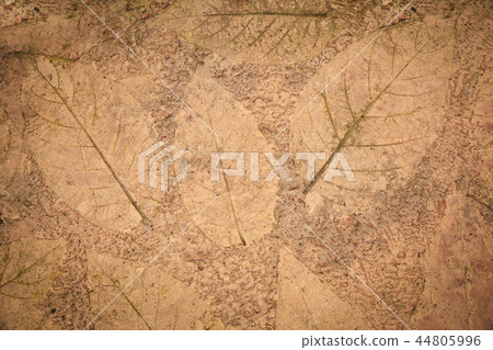 leaves texture background 44805996