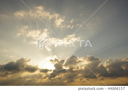 Ariake Sea Angel Ladder 6 Ariake Sea Angel Ladder 6 44806157