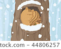 Squirrel in wintertime background 44806257