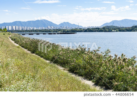 Han River Citizen's Park, Guri City, Gyeonggi-do Han River Citizen's Park, Guri City, Gyeonggi-do 44806654