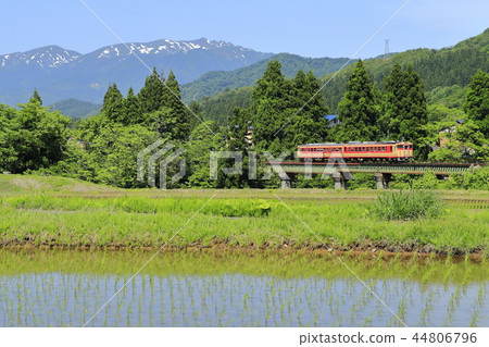 Tadami線的新鮮綠色和剩下的雪松鼠猴 44806796