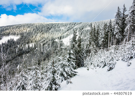 Winter with snow in the Giant Mountains Winter with snow in the Giant Mountains 44807619