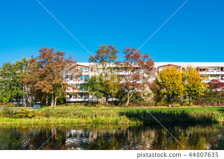 Some autumnal colored trees with blue sky Some autumnal colored trees with blue sky 44807635