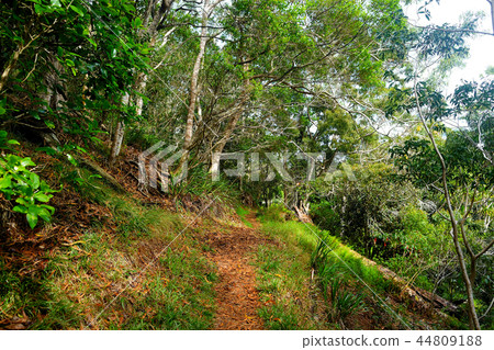 View of famous Kalalau trail along Na Pali coast View of famous Kalalau trail along Na Pali coast 44809188