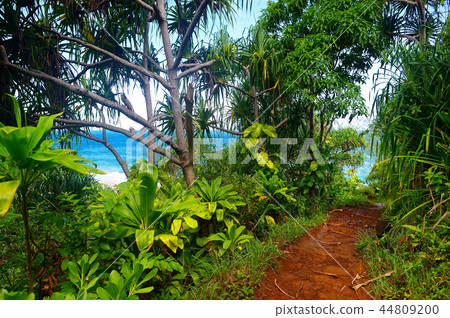 View of famous Kalalau trail along Na Pali coast View of famous Kalalau trail along Na Pali coast 44809200