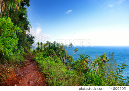 View of famous Kalalau trail along Na Pali coast View of famous Kalalau trail along Na Pali coast 44809205