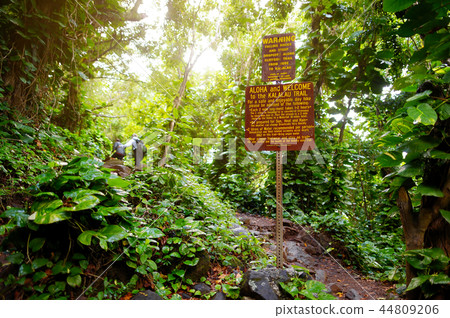 Trailhead of the famous Kalalau trail along Trailhead of the famous Kalalau trail along 44809206