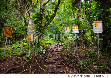 Trailhead of the famous Kalalau trail Trailhead of the famous Kalalau trail 44809207