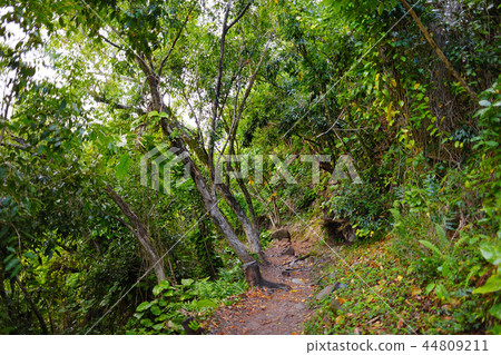 View of famous Kalalau trail along Na Pali coast View of famous Kalalau trail along Na Pali coast 44809211