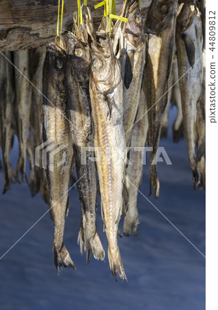 Hwangtae Hwangtae 44809812