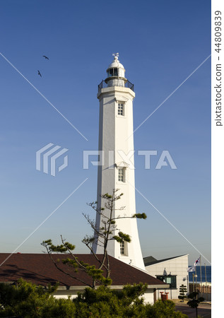 Homigand Lighthouse 44809839