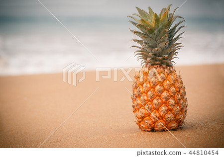 toned photo of pineapple toned photo of pineapple 44810454