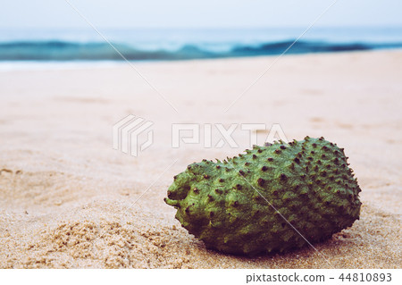 exotic fruit sausep 44810893