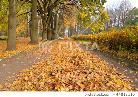 Alley in park at autumn. Alley in park at autumn. 44812110