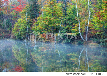 池塘上色與秋天顏色 44814036