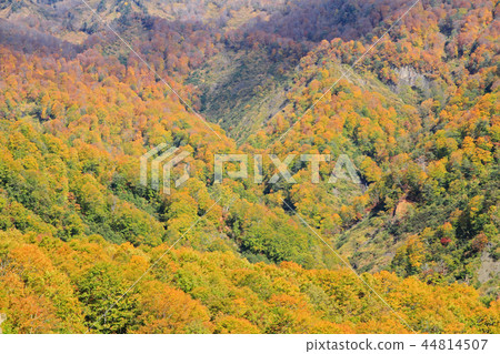 Myoko Takada Kureyama國家公園秋季雨季高原 44814507