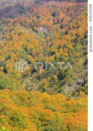 Myoko Takada Kureyama國家公園秋季雨季高原 44814508