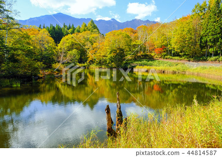 Amaike of autumn leaves Amaike of autumn leaves 44814587