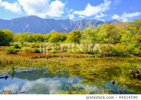 Autumn pond and Mt. Toko 44814590