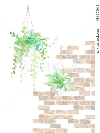 Houseplants and tiles, brown 44815561