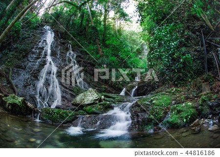 Shirato Waterfall [Shizuoka Prefecture] 44816186
