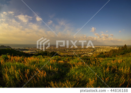 Yaizu city seen from Mt. Takakusa 44816188