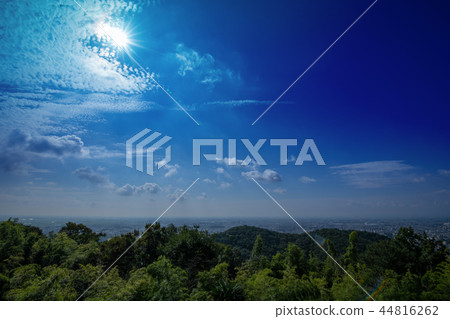 金山城遺址中島紀念公園市區全景太田市 44816262
