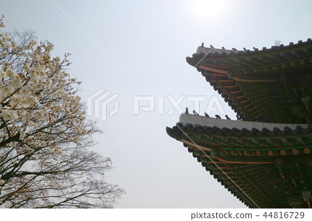 宮殿 紫禁城 建築 44816729