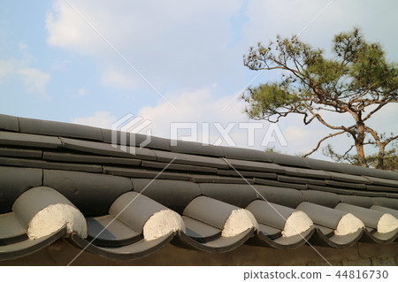 宮殿 紫禁城 建築 44816730
