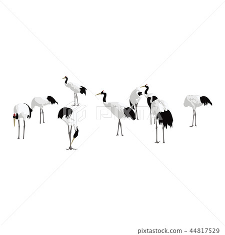 Dandoral cranes 44817529