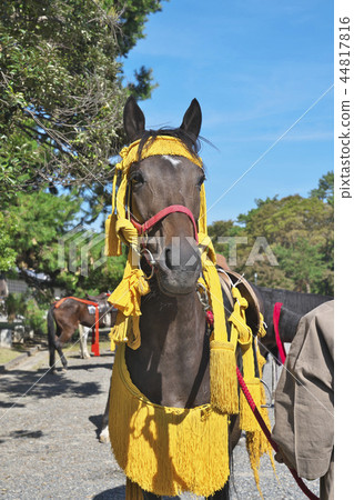 Horse of the period festival 44817816