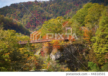Autumn leaves ~ Yubari Takinoue park ~ Autumn leaves ~ Yubari Takinoue park ~ 44818501