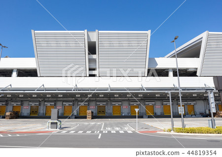 豐洲市場 44819354