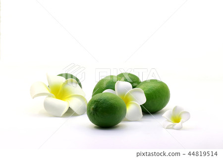 Lime, fruit, Tropical fruit 44819514