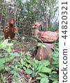 Chicken and chicken pottery 44820321