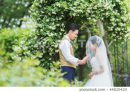 新娘和新郎在花園婚禮上戴面紗 44820420