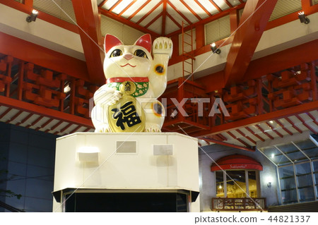 Osu shopping arcade inviting cat 44821337